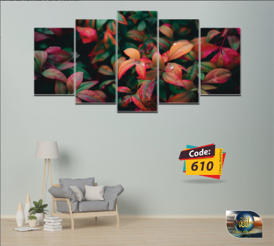 Picture of premium Design 5Pcs In 1 Set Wall Canvas printing