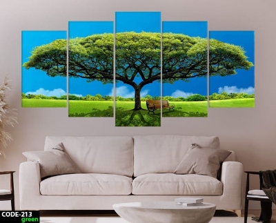 Picture of Combo 5pcs Canvas for Painting