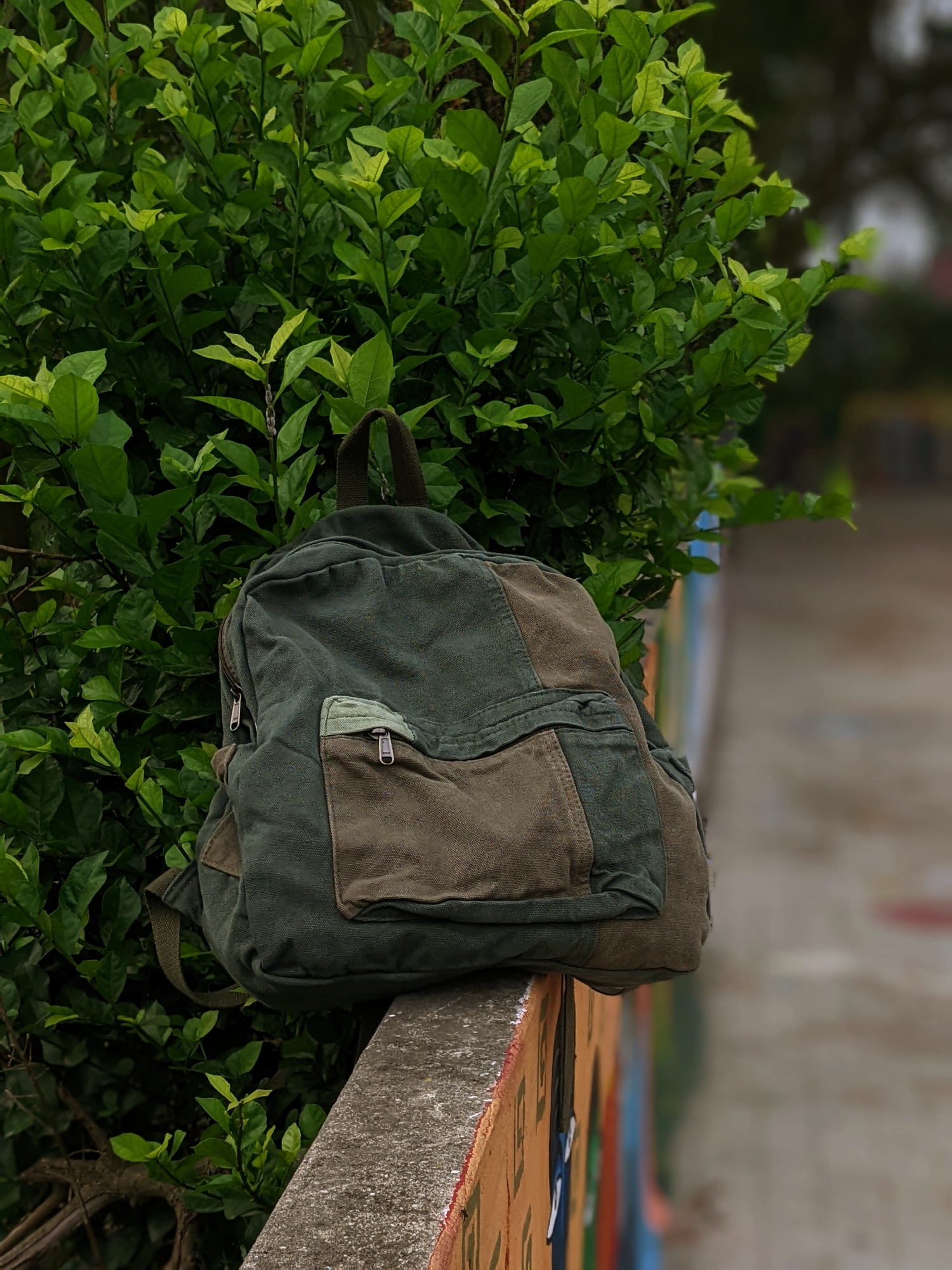 Picture of Casual Contrast Color Canvas Backpack - Olive Green