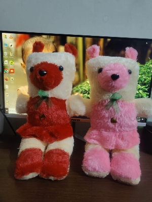 Picture of children Soft Toys, Doll Cute toy for kids 2pes