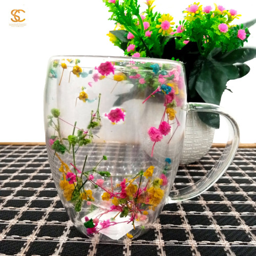 Picture of Everlasting Flower or Strawflower