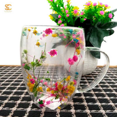 Picture of Everlasting Flower or Strawflower