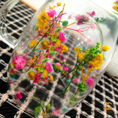 Picture of Everlasting Flower or Strawflower