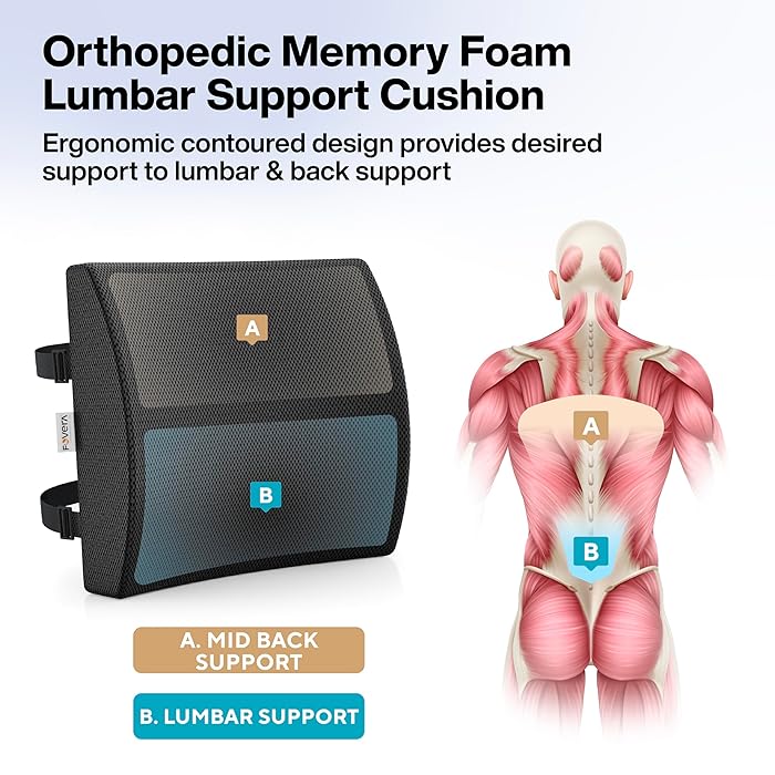 Picture of Orthopaedic Back Support (Backrest) High Density Memory Foam (Universal Size