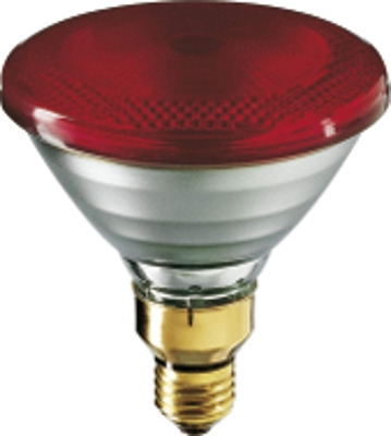 Picture of Philips Infraphil Infrared Replacement Lamp 150W  Pain-Relief Lamp Medical IR Heat Lamp