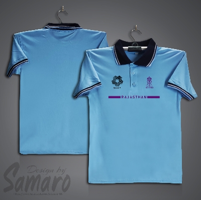 Picture of Rajasthan Royals Short Sleeve IPL Polo Cricket Jersey For Men - PP Micro IPL Polo Jersey - RR IPL Jersey