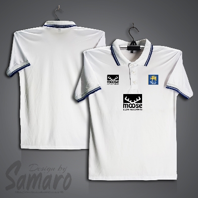 Picture of Sri Lanka Test Short Sleeve Polo Cricket Jersey For Men - PP Micro Collar Polo Jersey - Sri Lanka Cricket Jersey