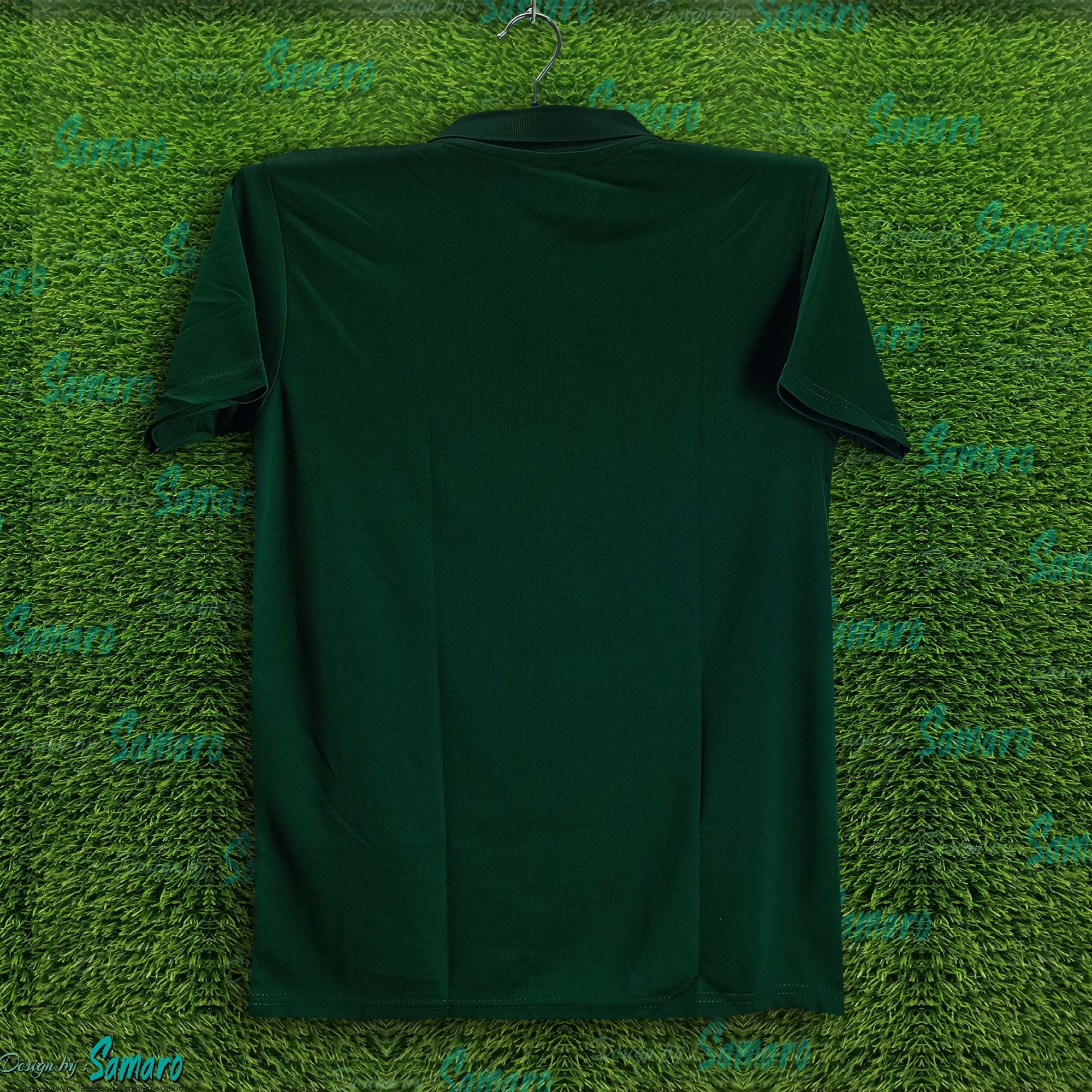 Picture of Pakistan T20 World Cup Jersey 2025/2026 Short Sleeve Polo Cricket Jersey For Men - Pakistan Cricket Jersey 2025