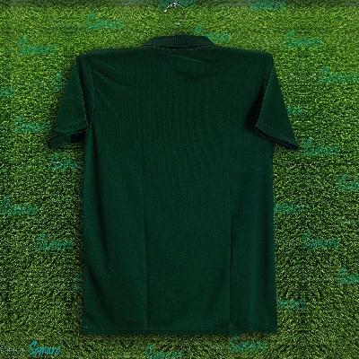 Picture of Pakistan T20 World Cup Jersey 2025/2026 Short Sleeve Polo Cricket Jersey For Men - Pakistan Cricket Jersey 2025