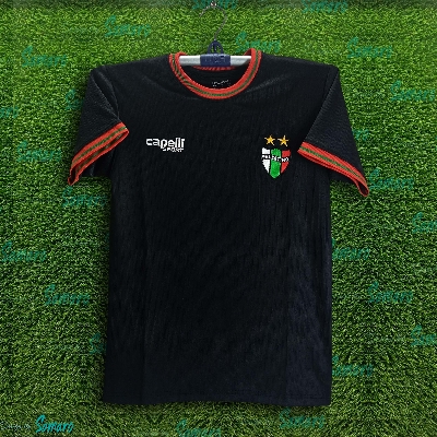 Picture of Palestine Thai Premium Football Jersey For Man - Half Sleeve T Shirt - Palestine Football Jersey 2025-26