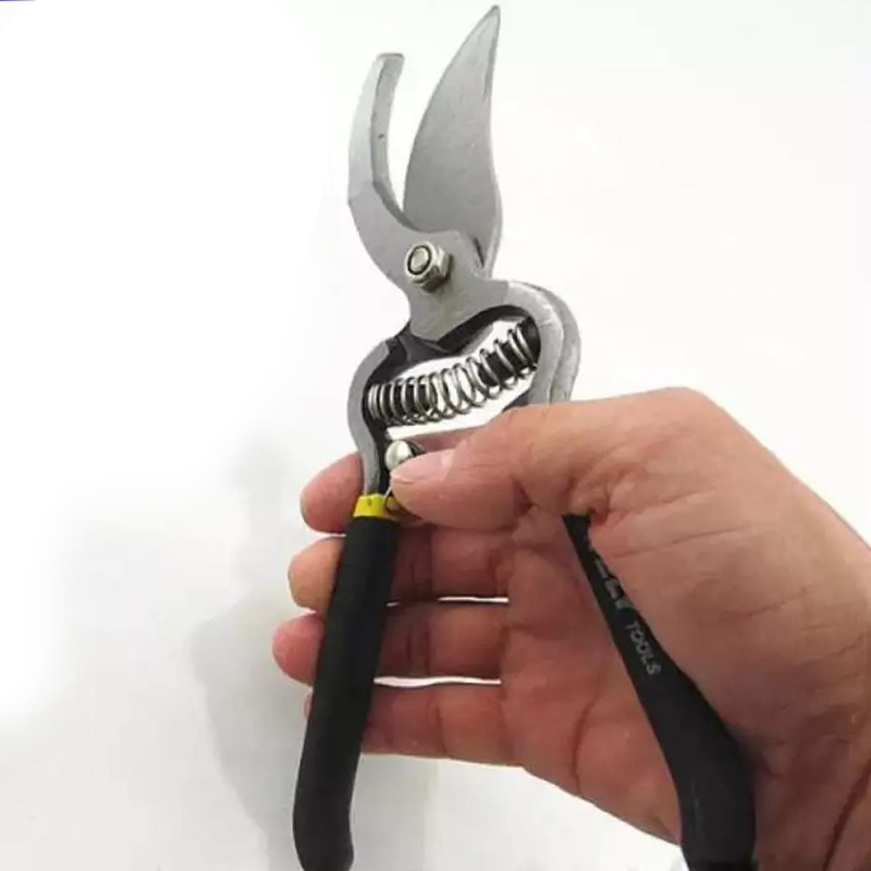 Picture of Professional 8 Inch Garden Scissors, Fruit Tree Pruning Shears Bonsai Pruners Grafting Cutter Garden Tools