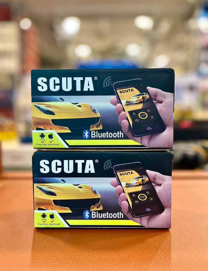 Picture of Car Door Lock Unlock Mobile App Control