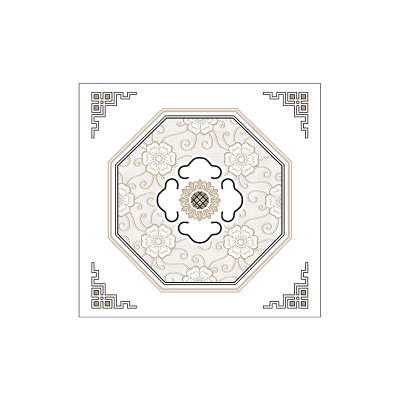 Picture of Special Ceiling Suvro