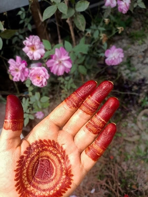 Picture of Organic Mehendi Cone