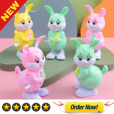 Picture of Rabbit Toy for Baby (Clockwork Jumping Toys for Children's Brain, Life Skills & Education)