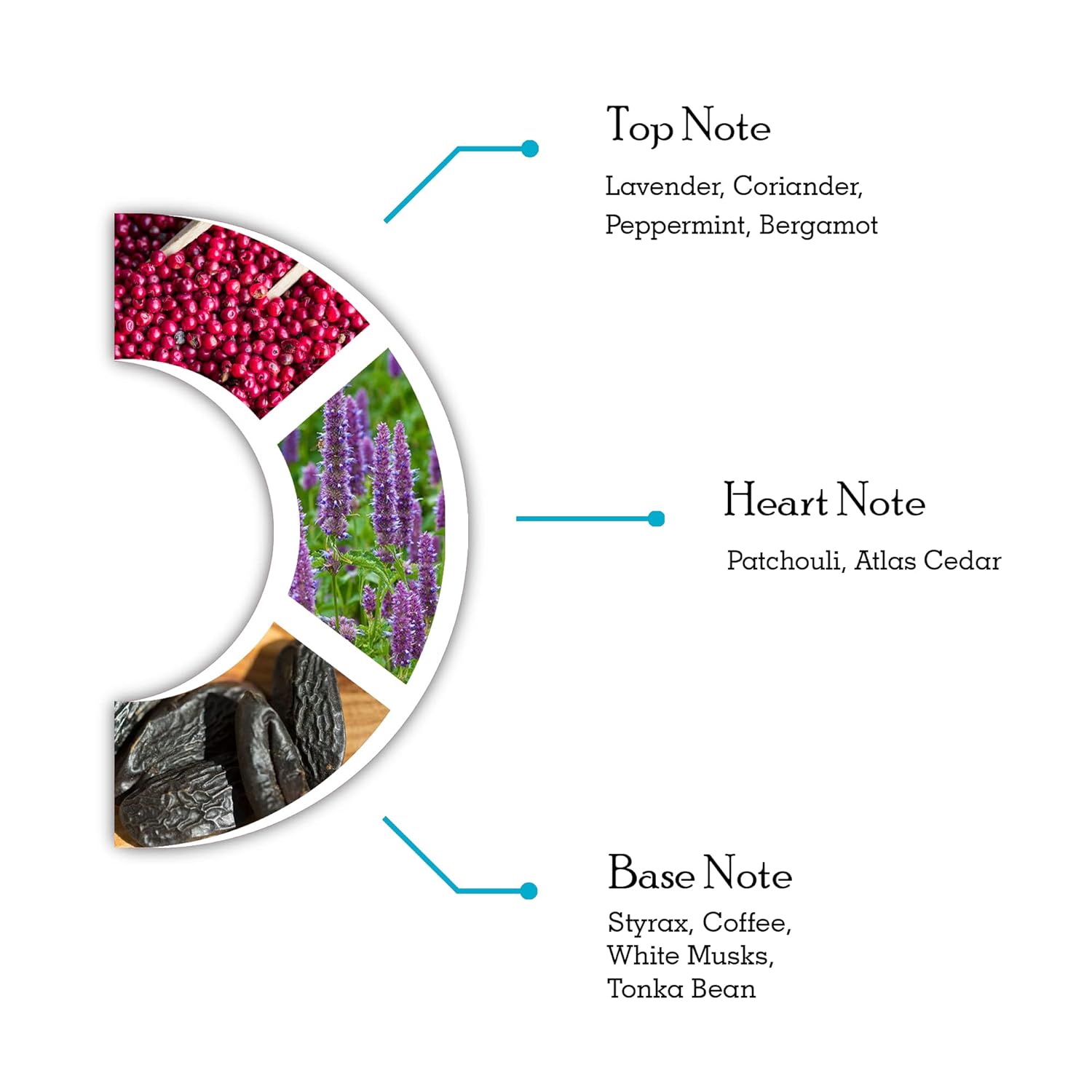 Picture of International UAE product Dorall collection DC SaRa QaeL perfume for male - 100 ml