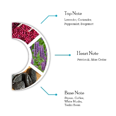 Picture of International UAE product Dorall collection DC SaRa QaeL perfume for male - 100 ml