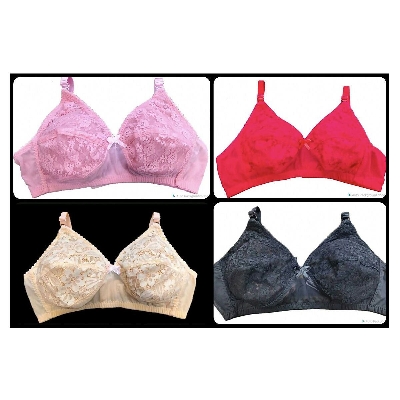 Picture of Indian 4 Pieces Combo Net Bra for Women