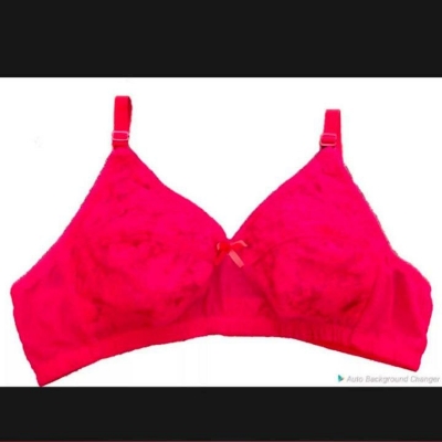 Picture of Indian 4 Pieces Combo Net Bra for Women