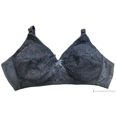 Picture of Indian 4 Pieces Combo Net Bra for Women
