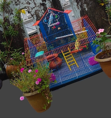 Picture of Rust Proof Portable Bird Cage For Any Kind Of Birds Like Macao, Parrot  Cash On Delivery Available