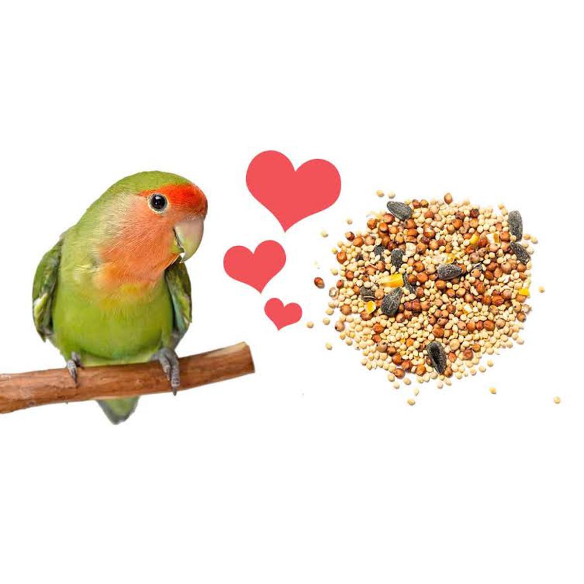 Picture of Love bird seed mix food 1kg