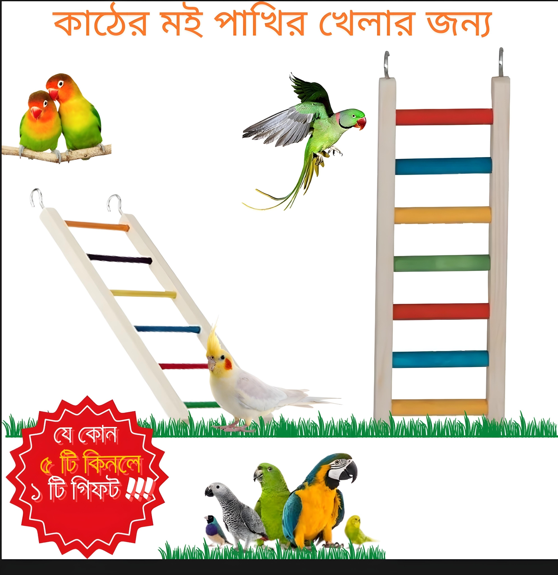 Picture of Wooden Bird ladder fun cage toy for bird training  1pcs