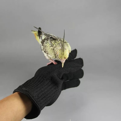 Picture of 1 pair Anti-Bite Biteproof gloves for training your bird