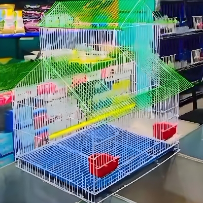 Picture of Home Shape Big Size China Premium Metal Bird Cage (2025) With All Accessories Cash On Delivery Available