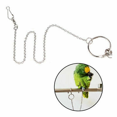 Picture of Pet Bird Foot Chain With Ring Leash Parrot Stainless Steel 304 Anklet Ring