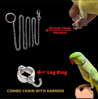 Picture of Pet Bird Foot Chain With Ring Leash Parrot Stainless Steel 304 Anklet Ring