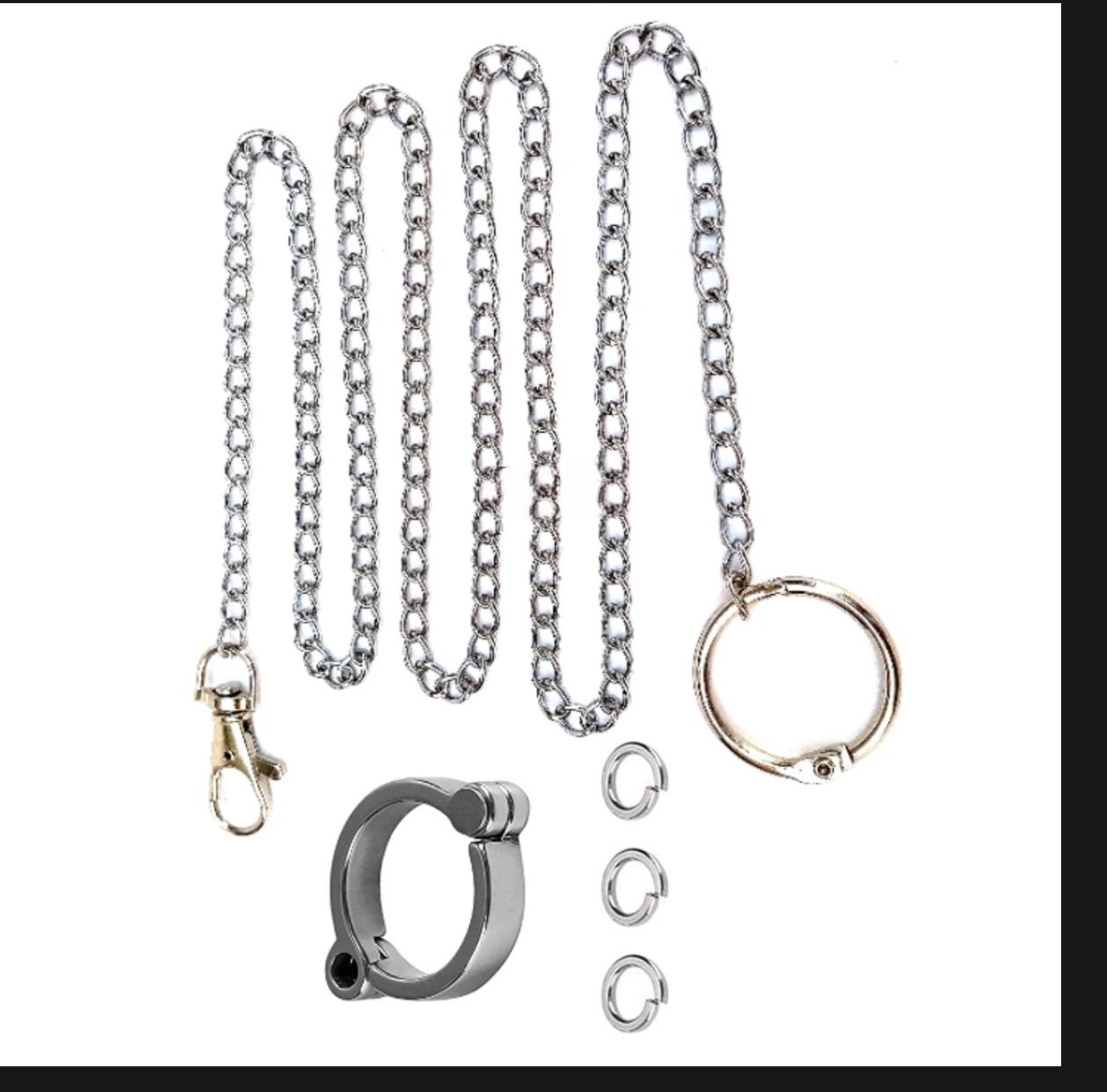 Picture of Pet Bird Foot Chain With Ring Leash Parrot Stainless Steel 304 Anklet Ring