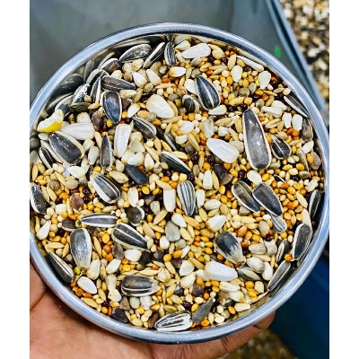 Picture of BIG PARAKEET (LOVE BIRD& COCATIAL) MIX 1KG