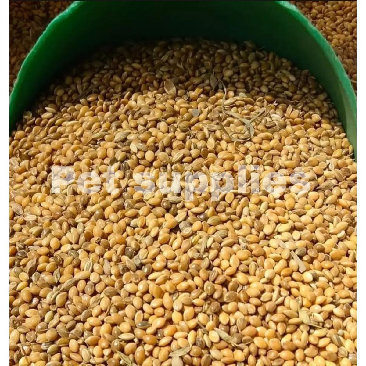 Picture of Cina Seed for Birds চিনা Bird Food 250g