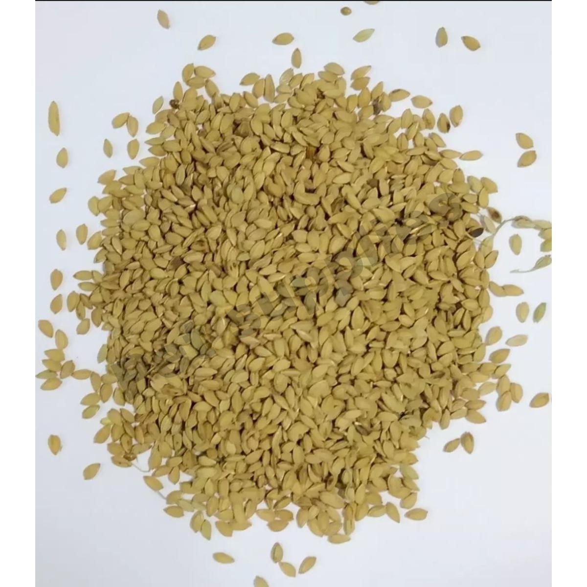 Picture of Bird Food Paddy Rice (চিনি আতপ ধান) for Birds -- 1Kg