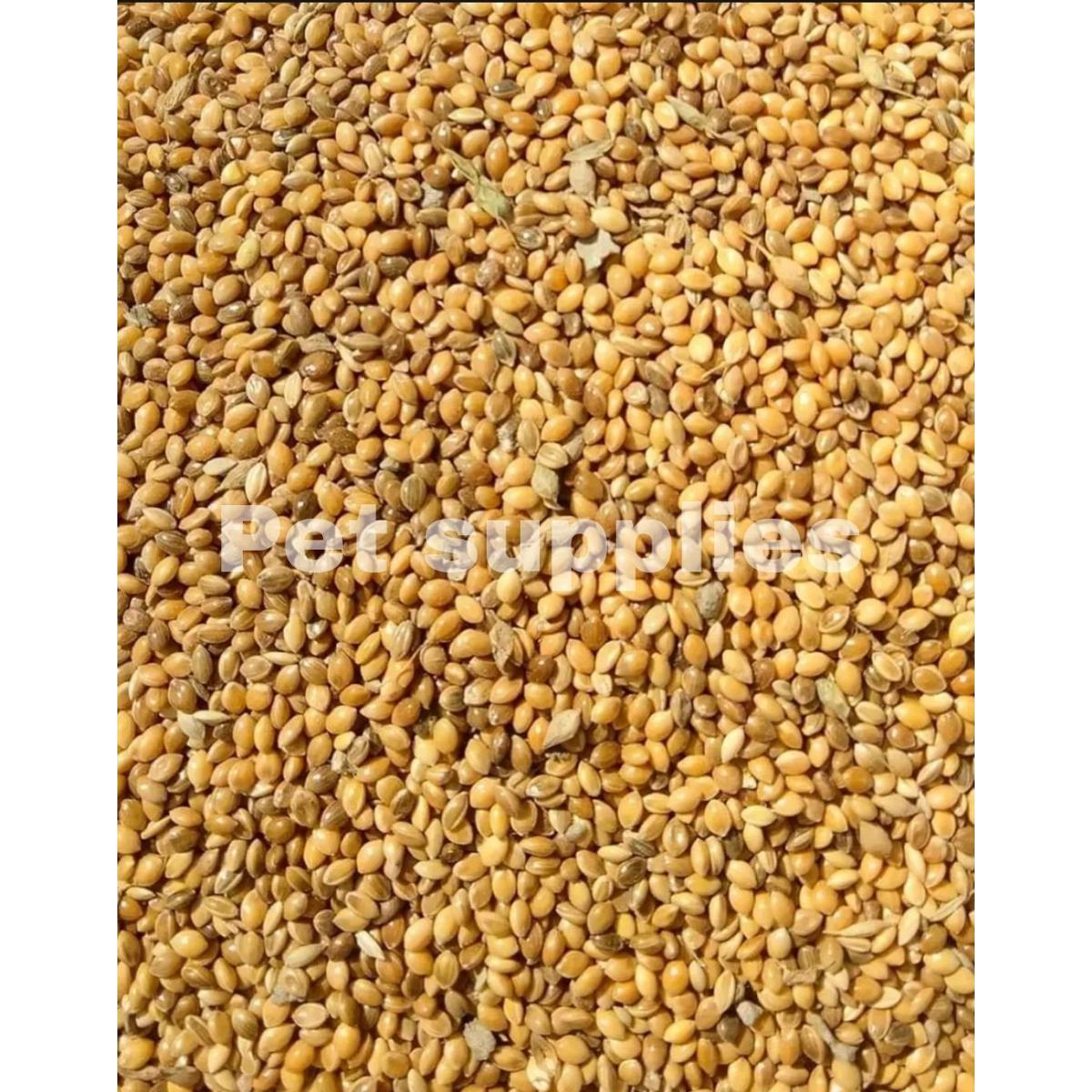 Picture of Cina Seed for Birds চিনা Bird Food 1kg