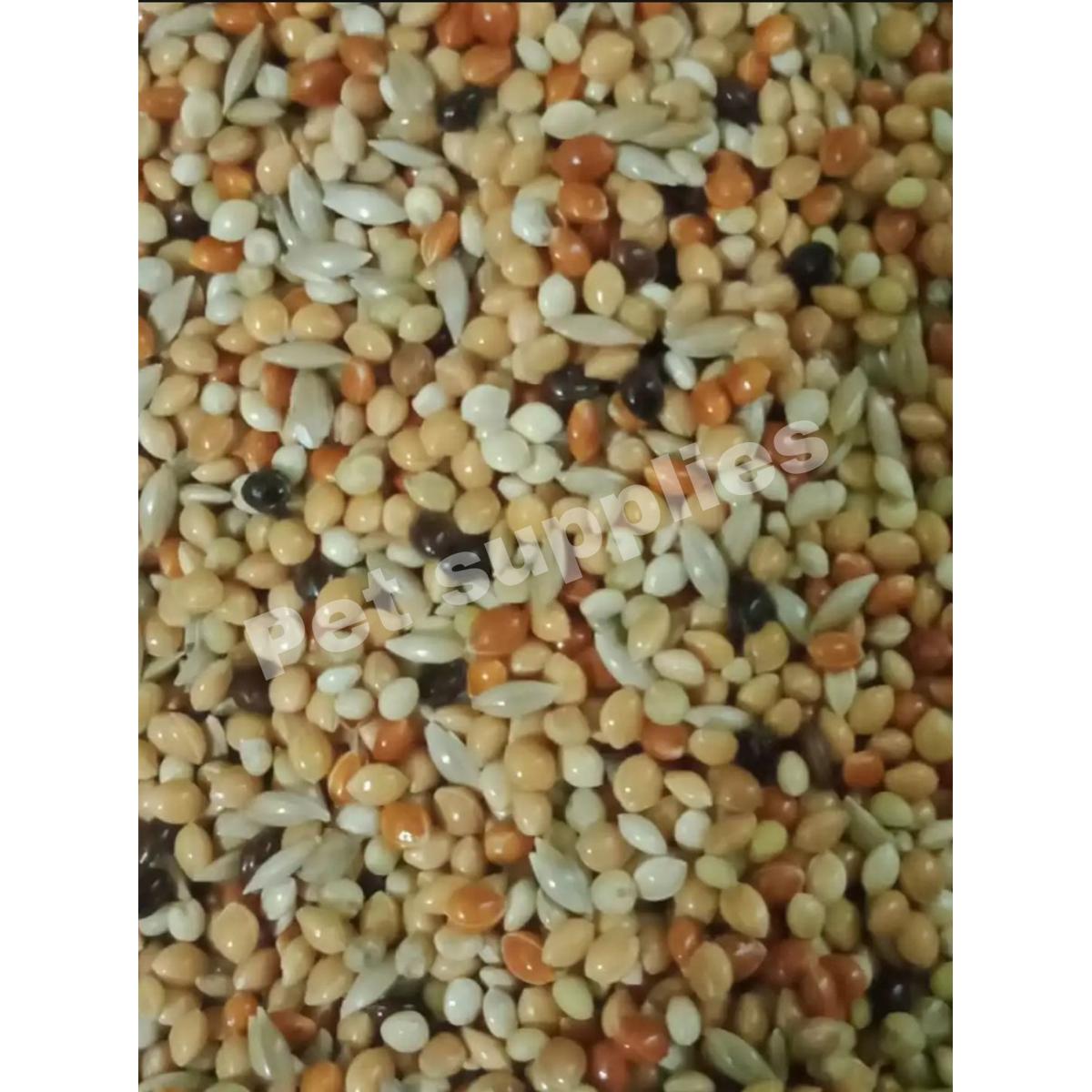Picture of White Millet, Red Millet Millet, Yellow Millet, Black Millet Mix Bird Food ৪ রকম মিলেট মিক্স খাবার ৫০০ গ্রাম