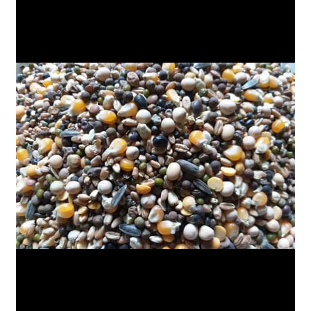 Picture of Race Feed Recipe For Racing Pigeons With Soya Been Seeds and Many More 2kg