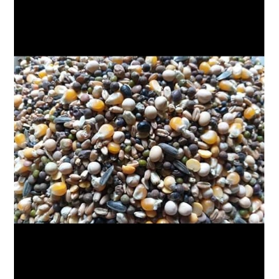 Picture of Race Feed Recipe For Racing Pigeons With Soya Been Seeds and Many More 2kg