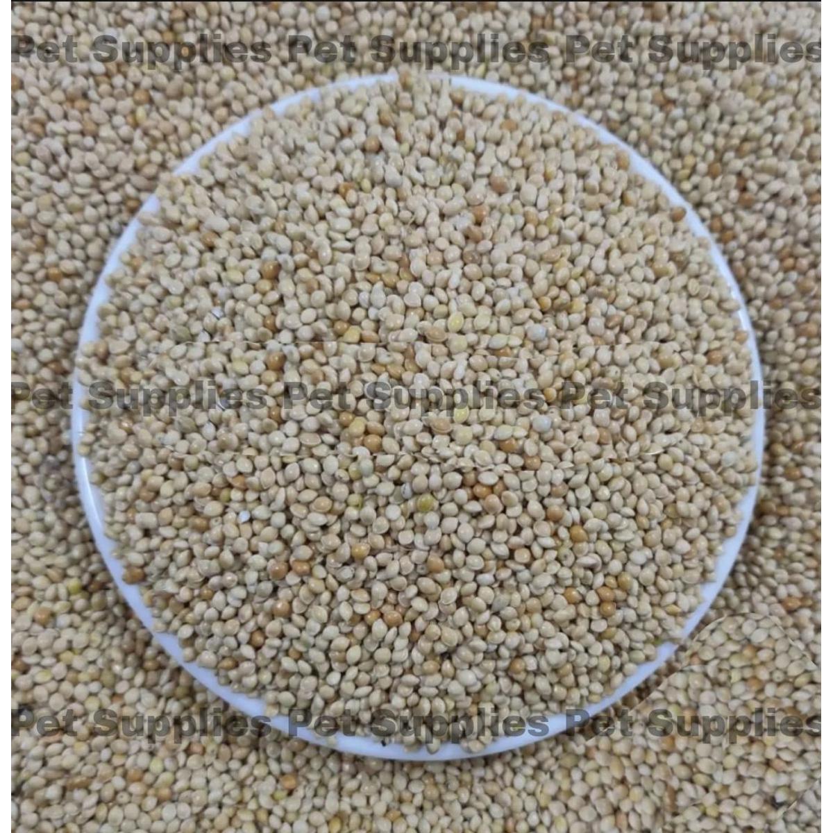 Picture of White Millet For Birds -1kg