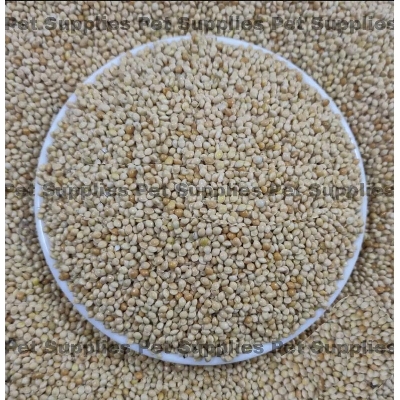 Picture of White Millet For Birds -1kg