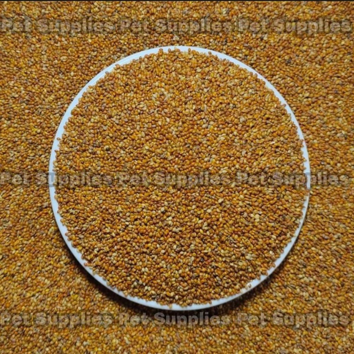 Picture of Lal Kaun (কাউন) For Bird-500g