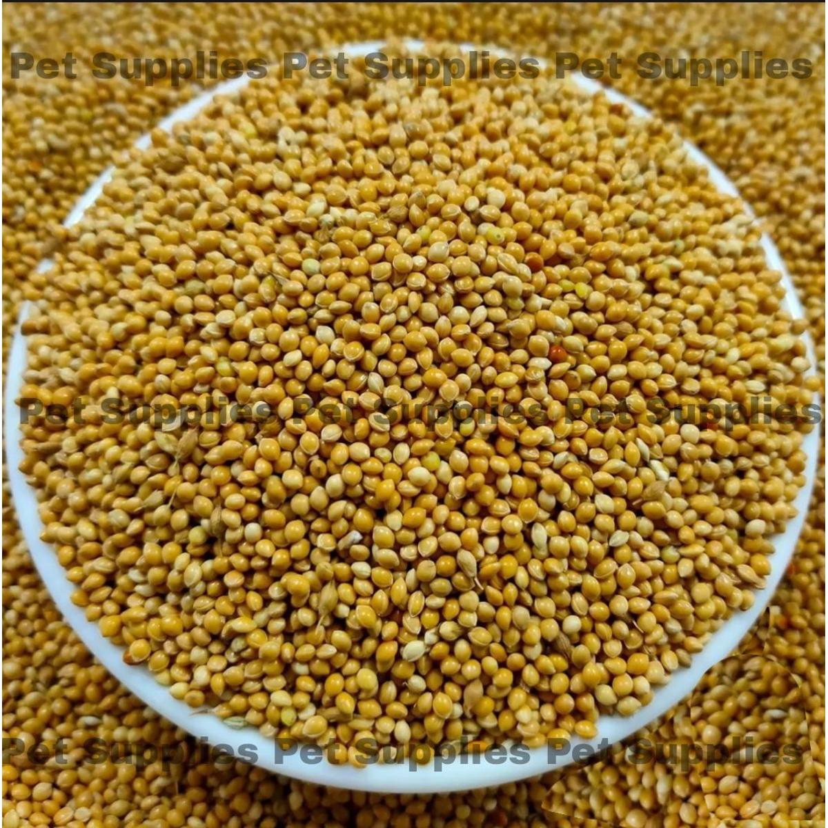 Picture of Yellow Millet For Birds -250g