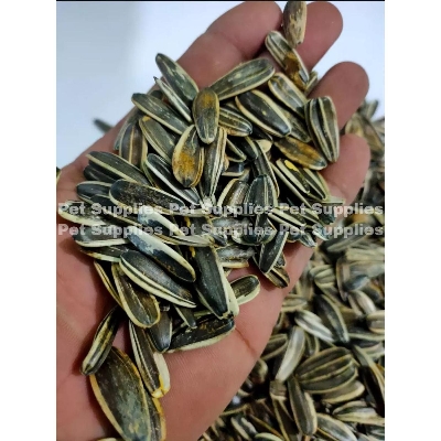 Picture of Sunflower Seeds For Bird Large-1kg
