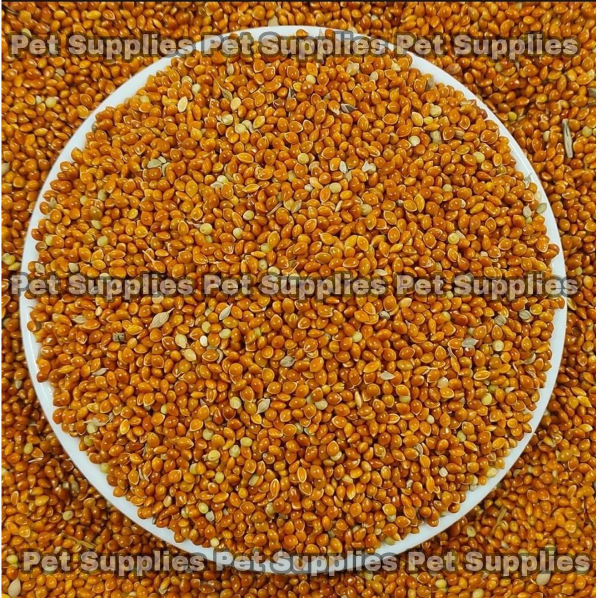 Picture of Red Millet For Birds -1kg