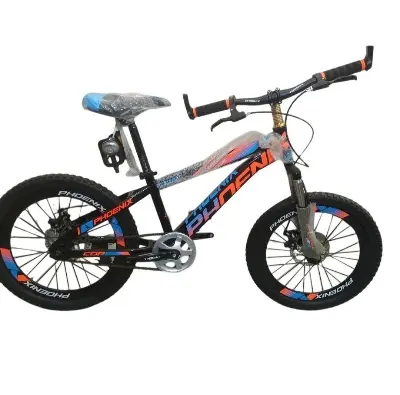 Picture of 20'' phoenix Disc brake cycle