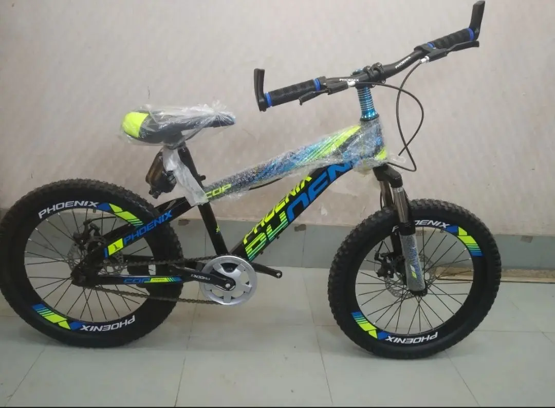 Picture of 20'' phoenix Disc brake cycle
