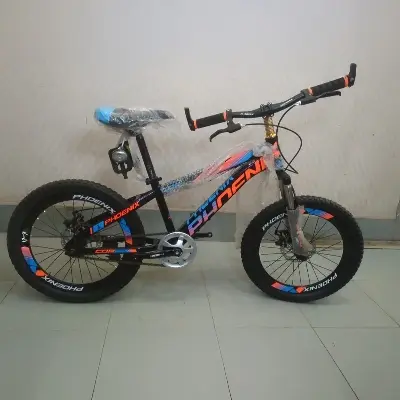 Picture of 20'' Phoenix Double Disc Brake With Fat Tyte Cycle - Enjoy Smooth And Reliable Braking Performance With The 20'' Phoenix Disc Brake Cycle Cash On Delivery Available