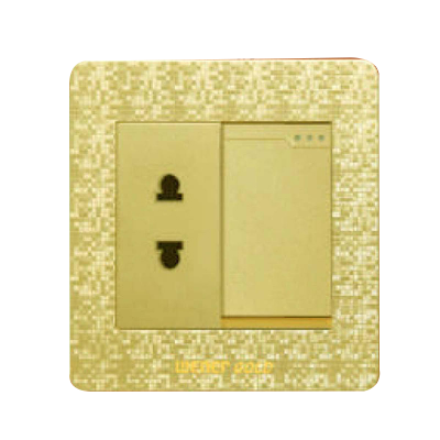 Picture of Exclusive  Winer Gold 2 Pin Switch Socket-(3 Years Repless Warranty)