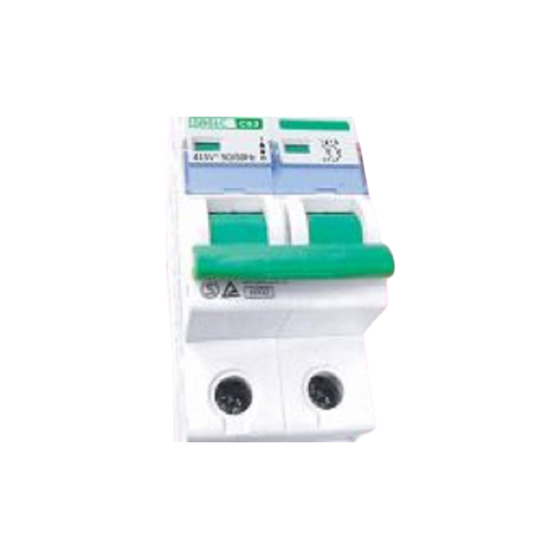 Picture of P-TECH Circuit Breaker  MCB-Double Pole 40Amp(5 years Warranty)